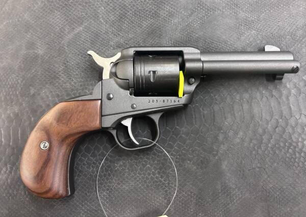 Ruger wrangler 22lr