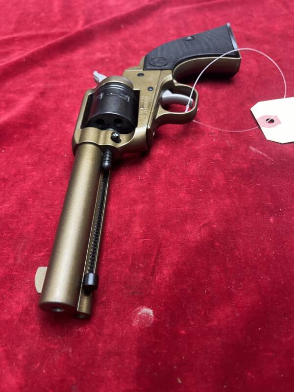 Ruger Wrangler 22 lr